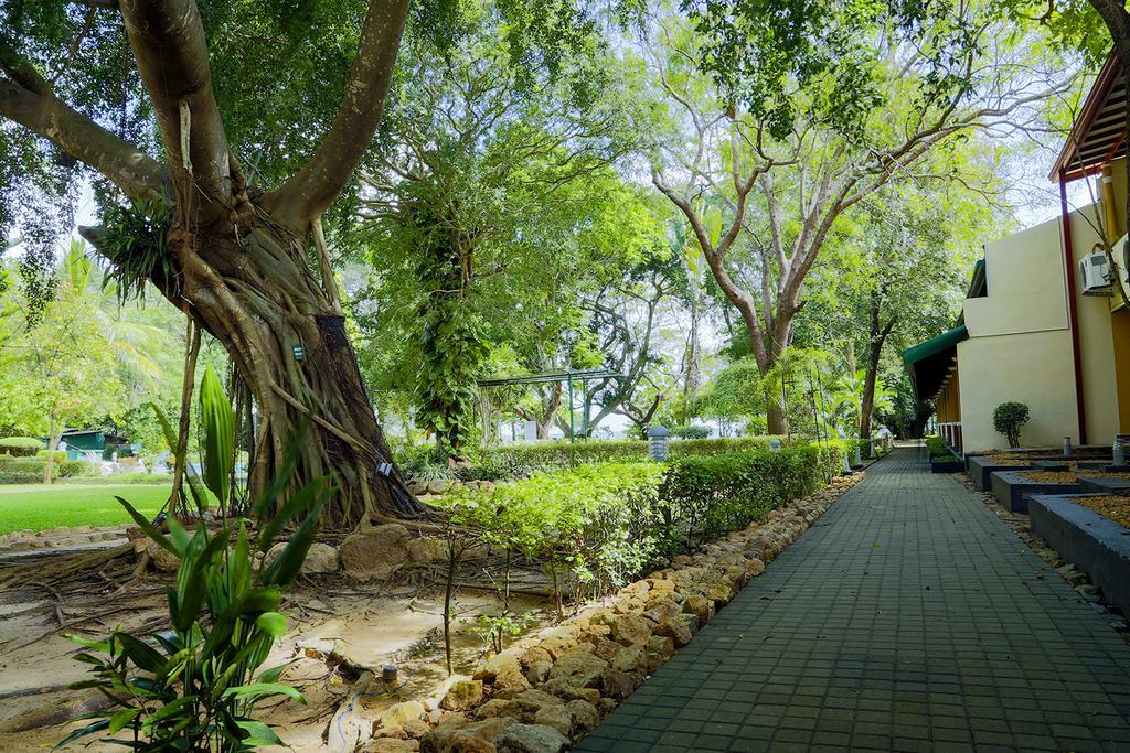 Miridiya Lake Resort Anuradhapura Exterior photo